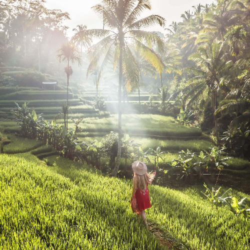 Tegalalang-Rice-Terrace-Ubud-Instafamous-Location