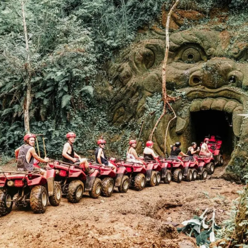 atv (2)