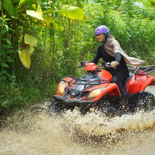 atv (5)