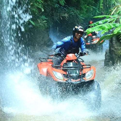 atv (6)